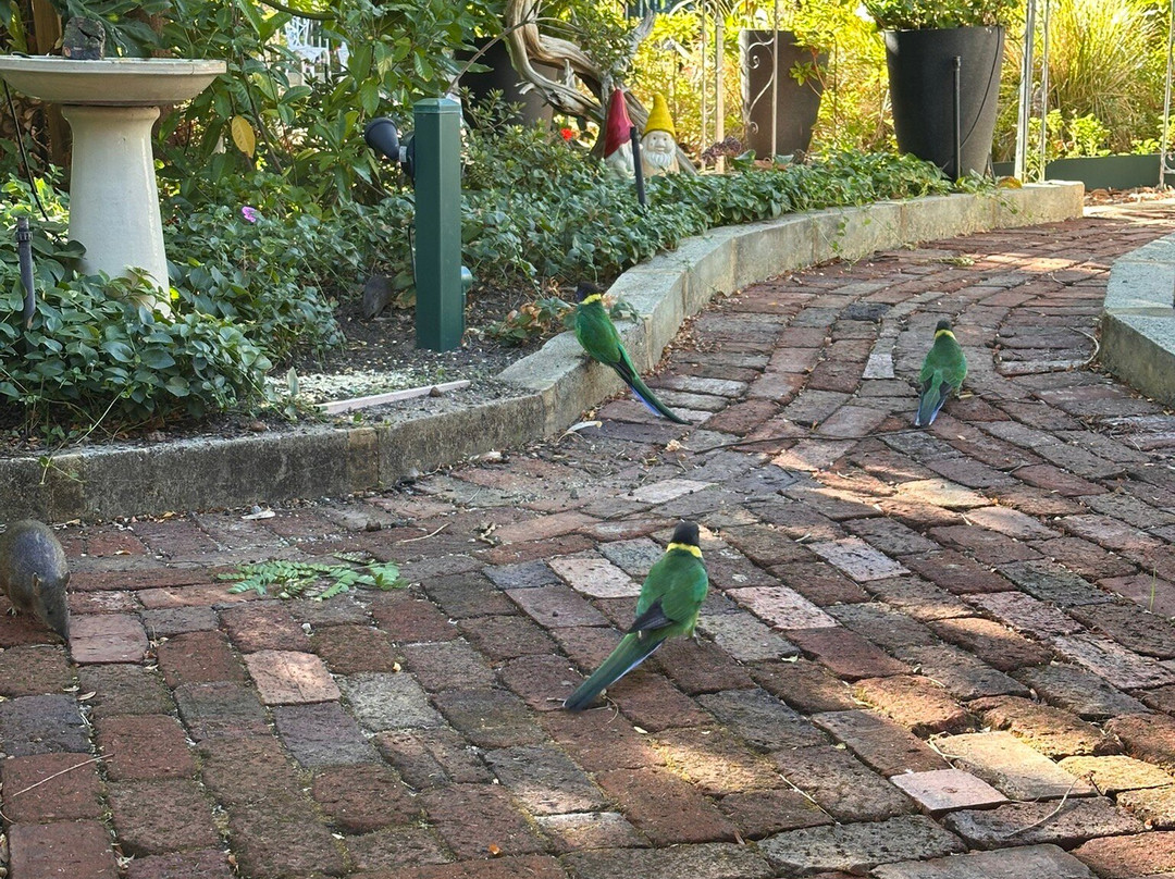 埃尔布利之家住宿加早餐酒店主图