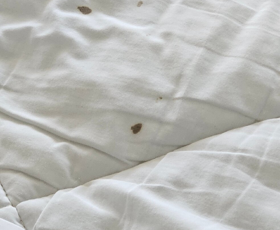 Best Western Space Age Lodge主图