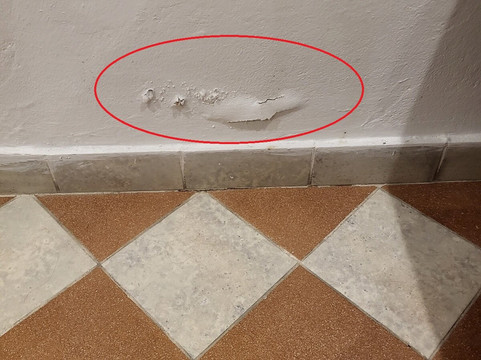 Masaya波哥大主图