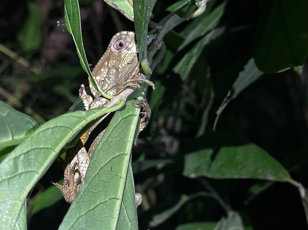 Sukia Travel-德雷克湾必去景点