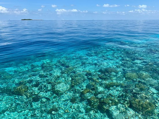 悦苑伊瑚鲁酒店主图