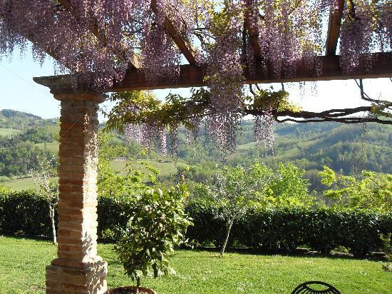 Poggio degli Ulivi主图