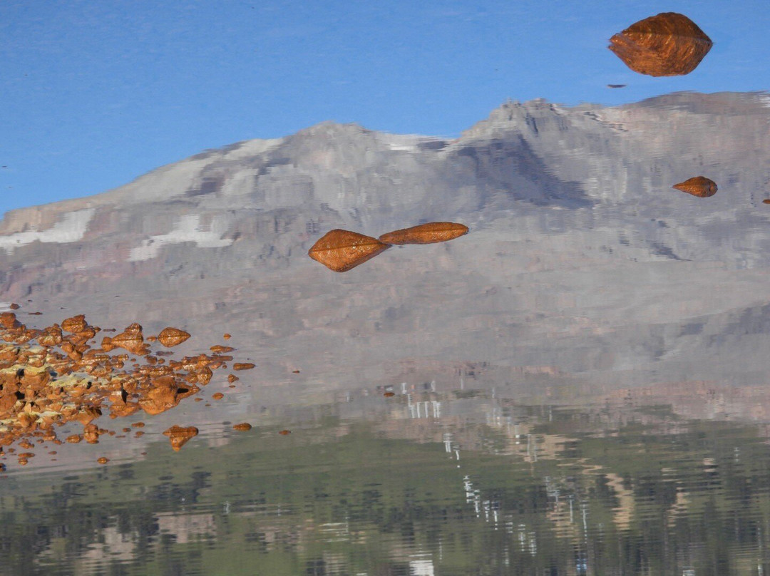 Argentina Photo Workshops景点图片