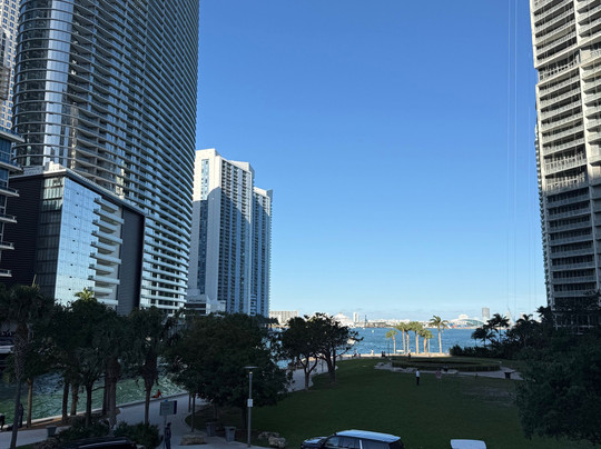 迈阿密圆环艺术街-迈阿密必去景点