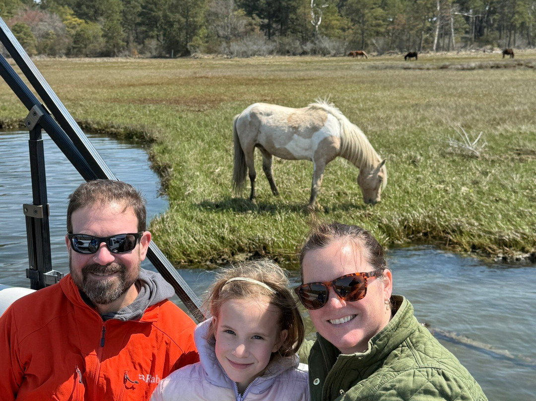 Up The Bay Pony Tours-钦科蒂格岛必去景点