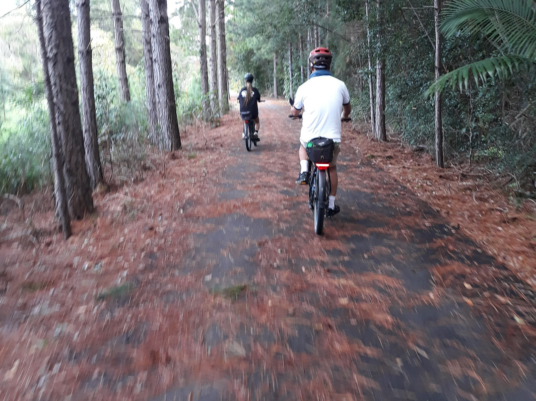 Northern Rivers Cycles And Bike Hire景点图片