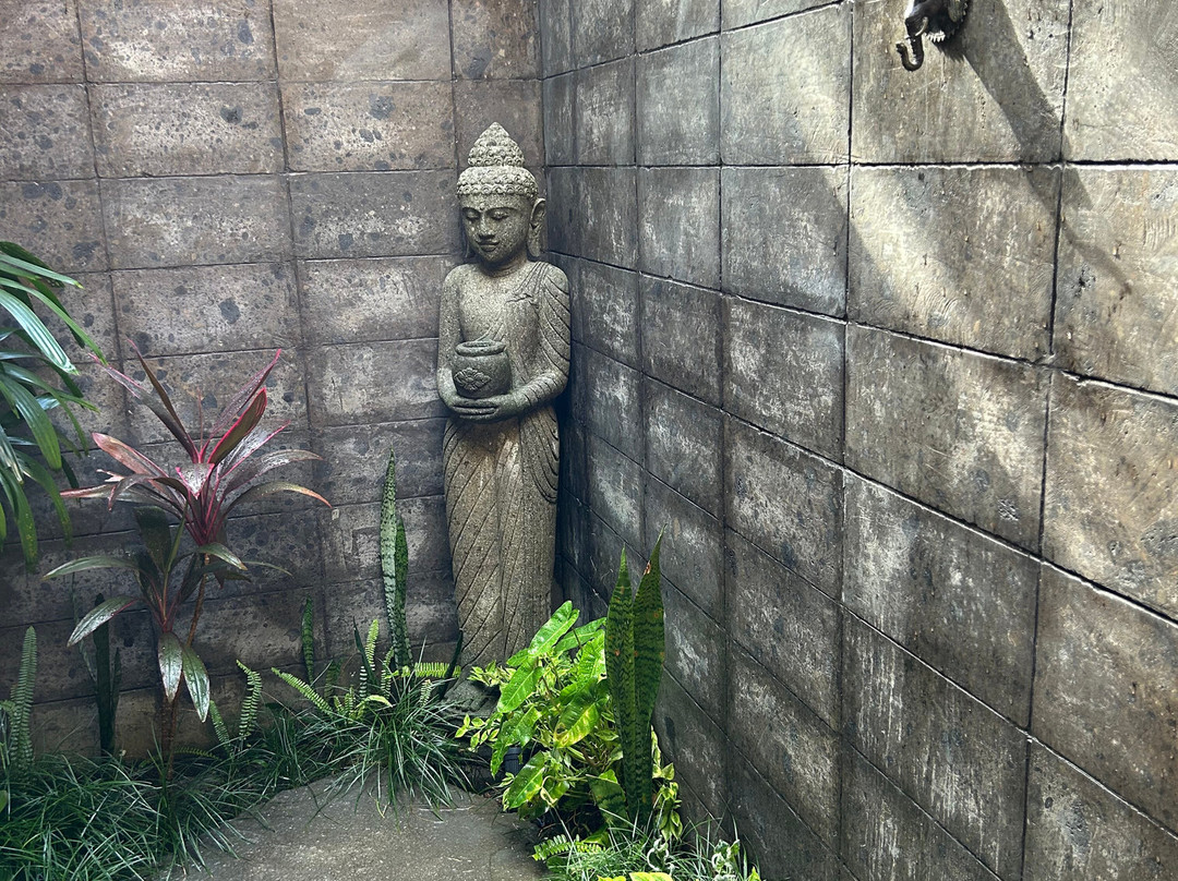 萨曼瓦亚酒店主图