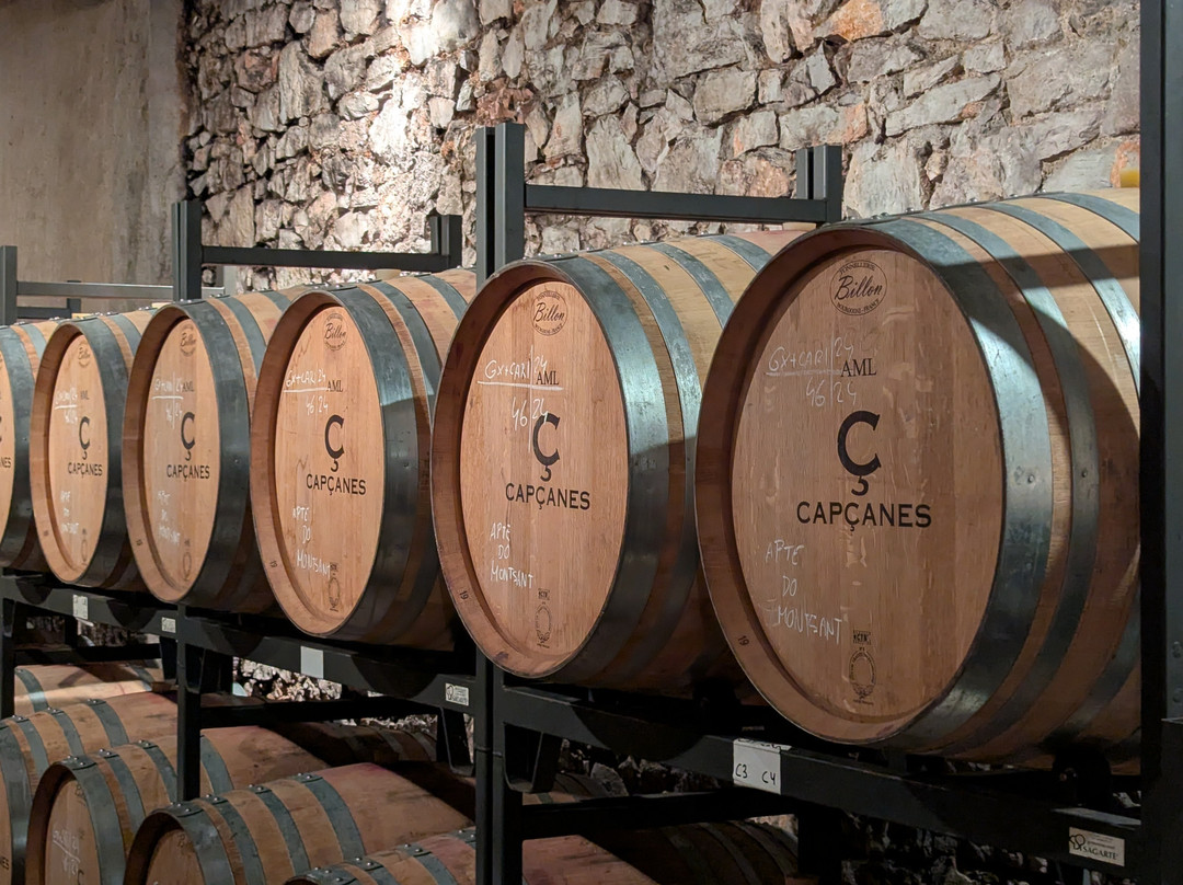 Celler De Capcanes-Capcanes必去景点