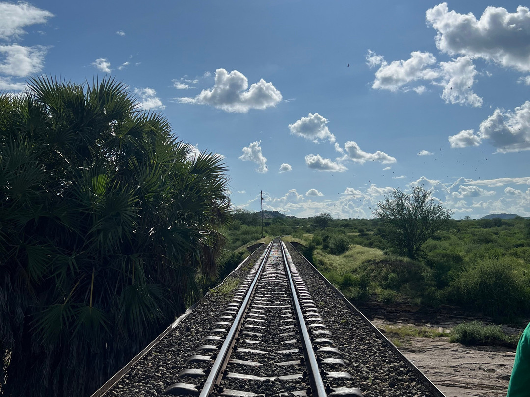 Milana Tours and Safaris-内罗毕必去景点