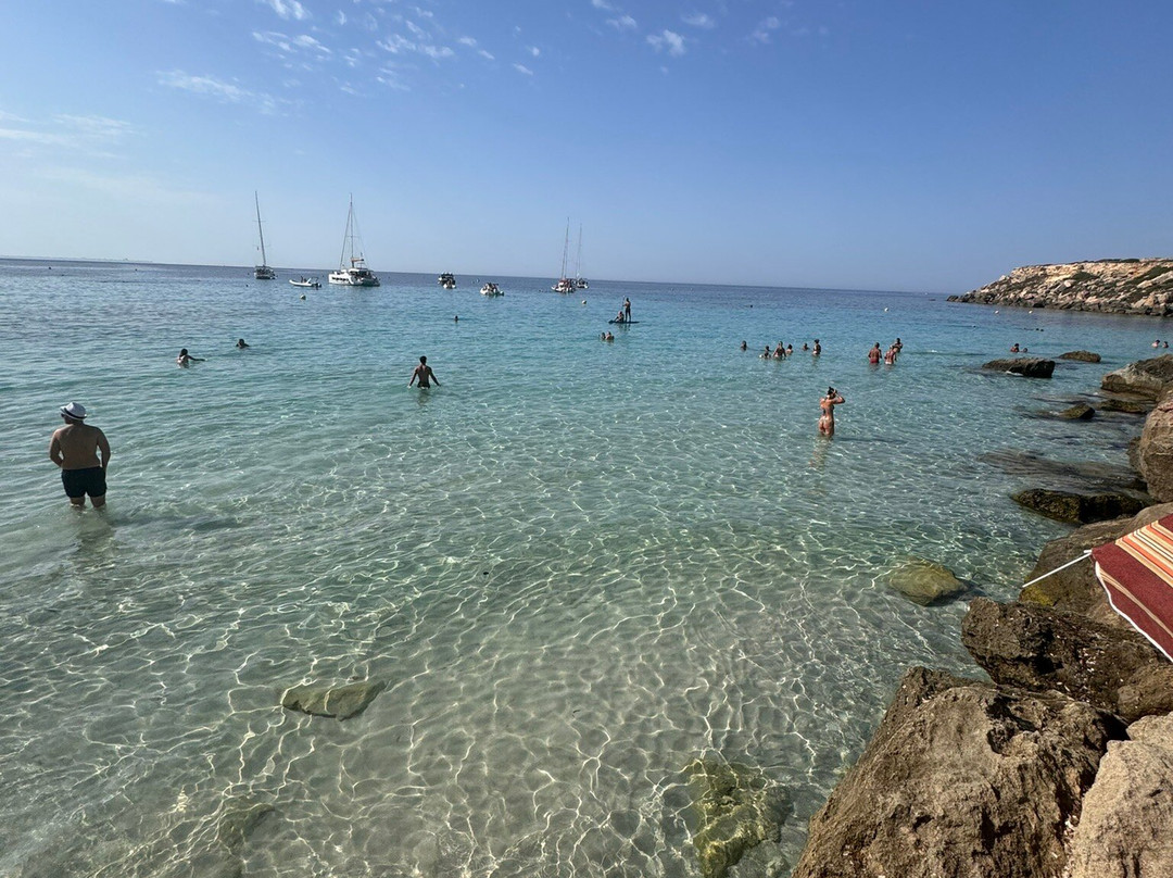 Scogliera Cala Azzurra景点图片