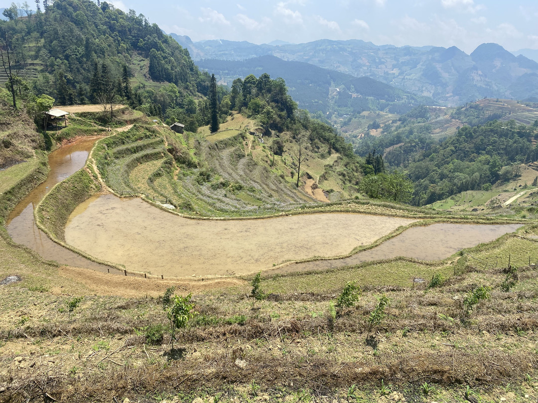 Pang Local Guide Bac Ha景点图片