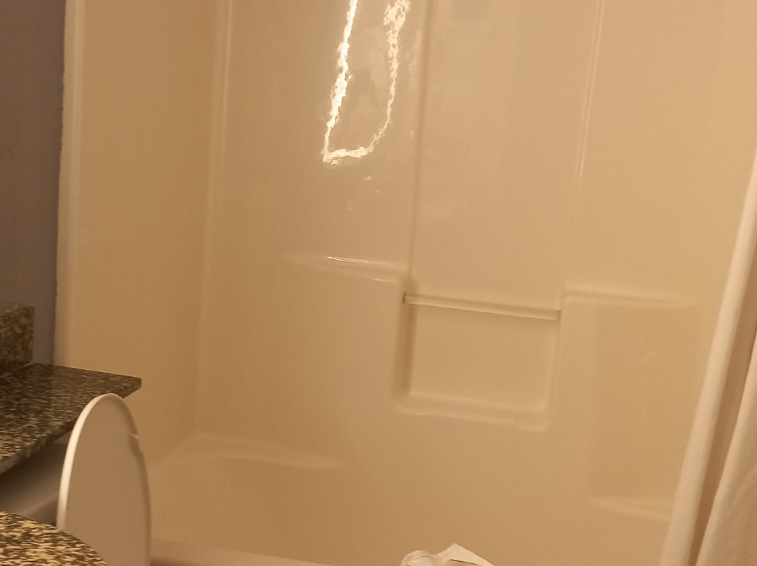 Microtel Inn & Suites By Wyndham Brooksville主图