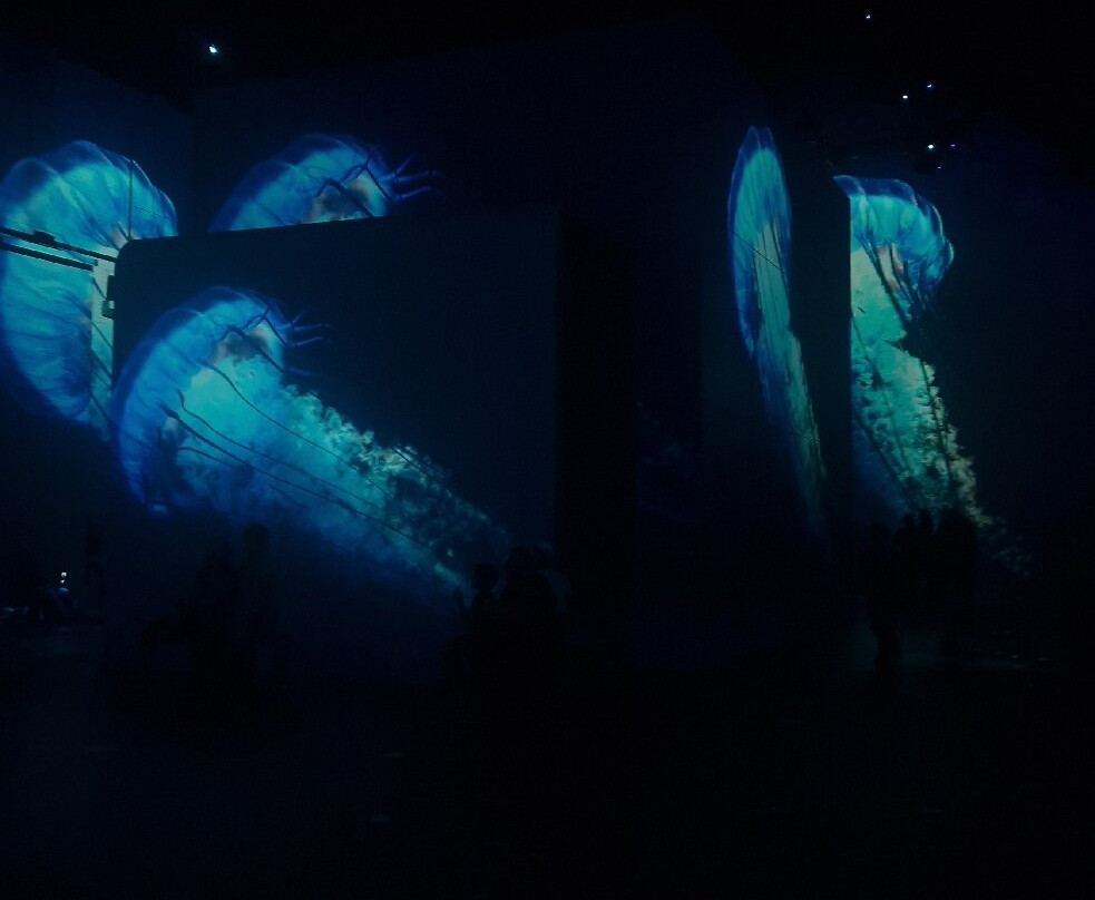 Fabrique Des Lumières景点图片