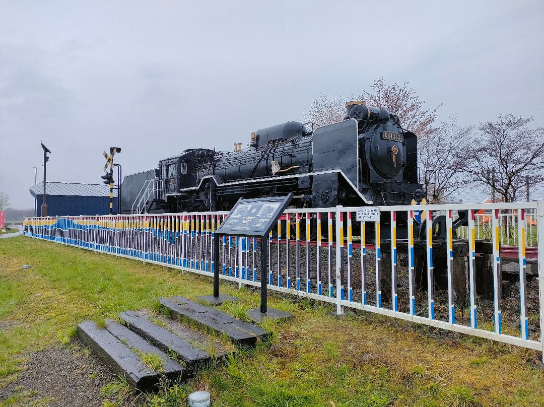 D51 333 Steam Train