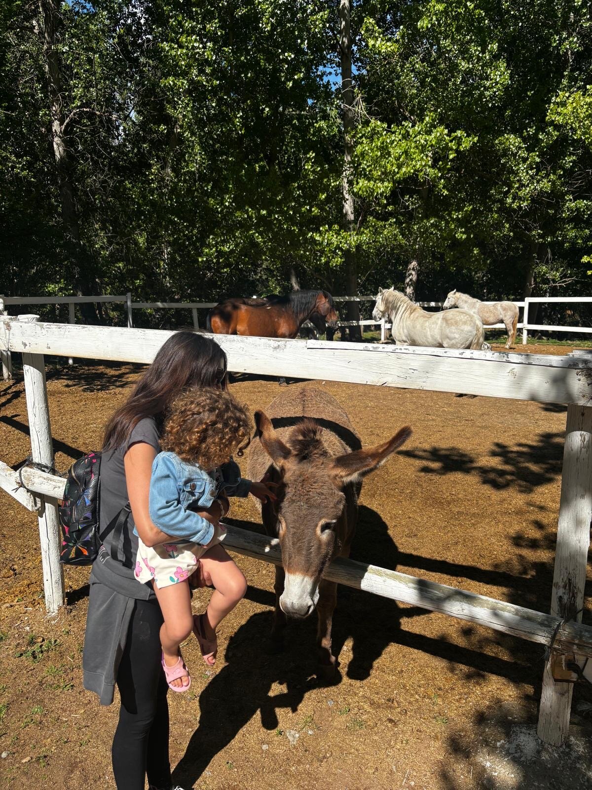 Masia El Molinete-官方