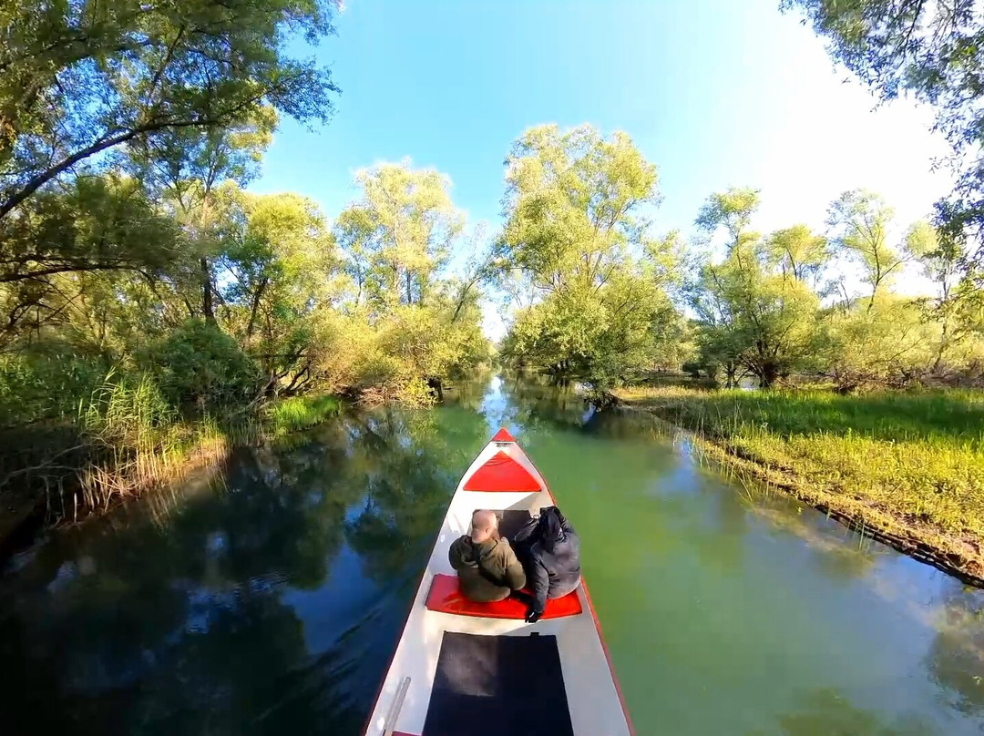 Skadar Lake - Boat Cruise Milena-维尔巴札拉必去景点