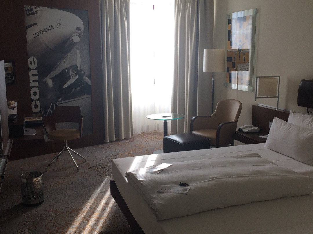 法兰克福-尼德拉德多林特酒店主图