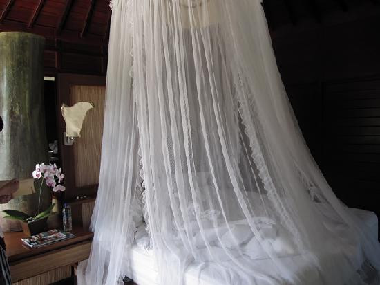 巴龙蝴蝶度假村主图