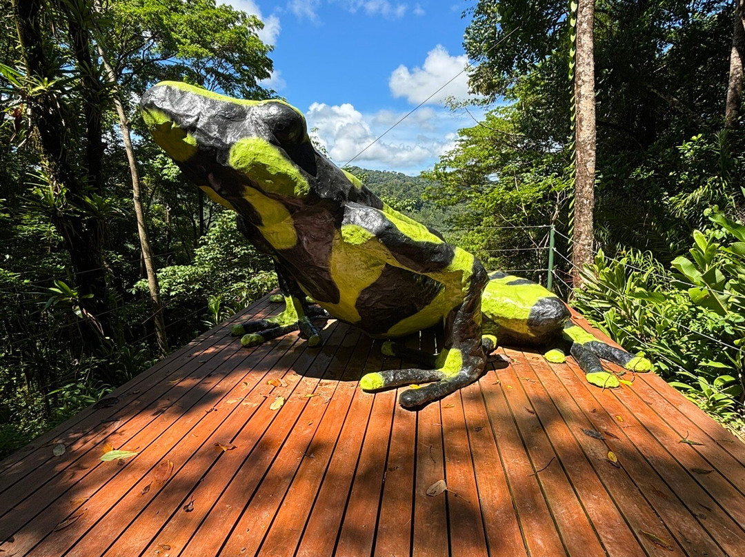Canopy Safari景点图片