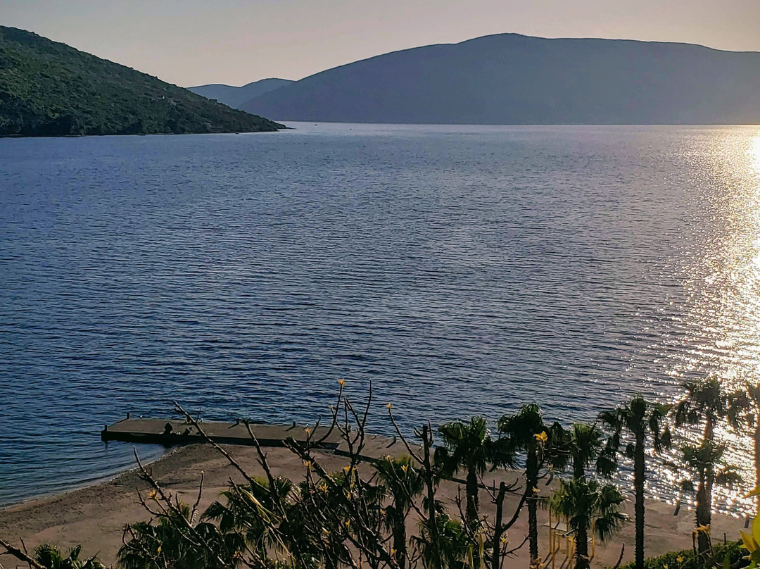 Carine Hotel Kumbor主图