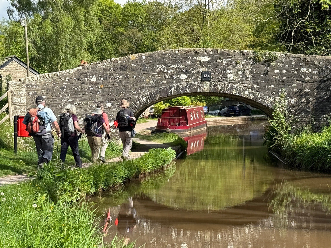 The Star Bunkhouse主图