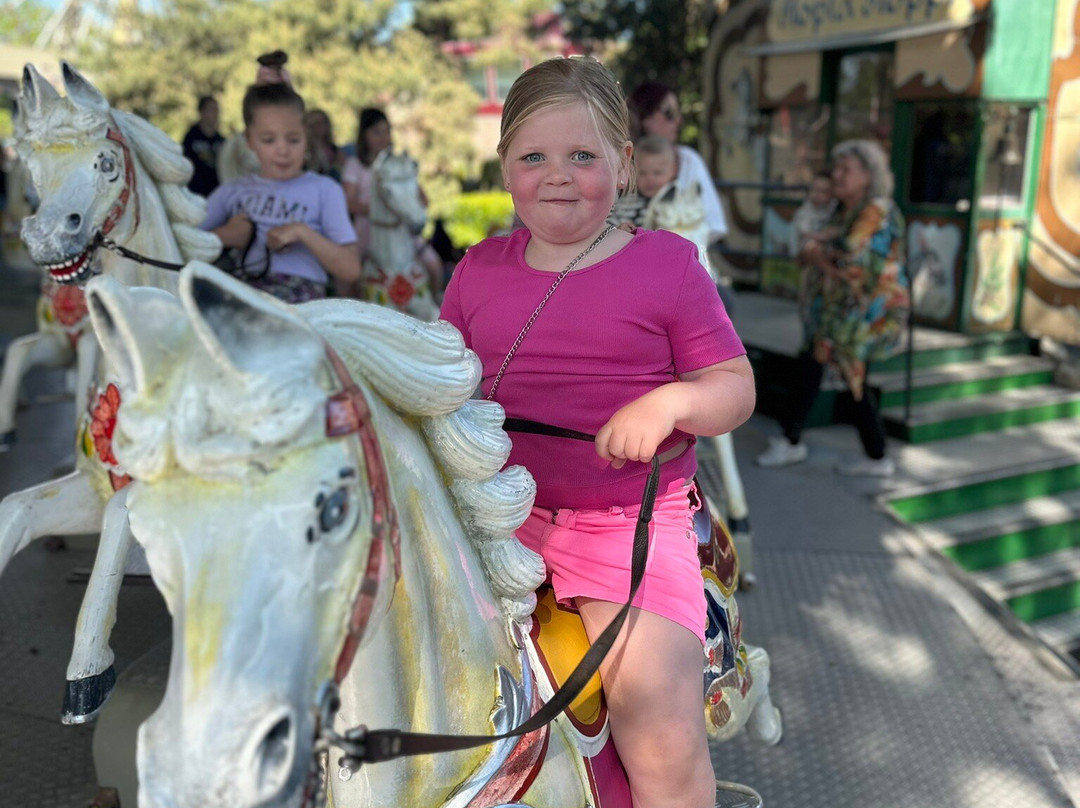 Attractie & Vakantiepark Slagharen-Slagharen必去景点