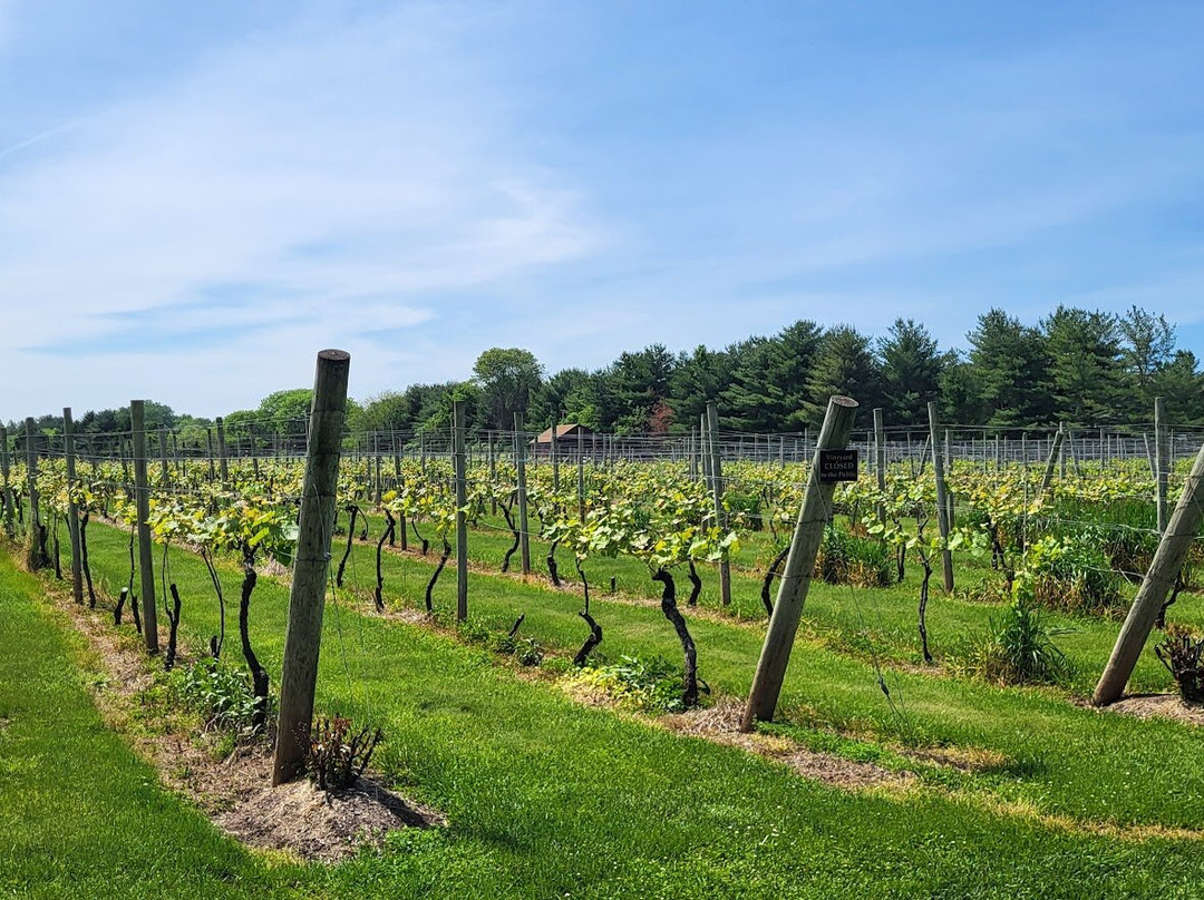 Crossing Vineyards and Winery-Washington Crossing必去景点