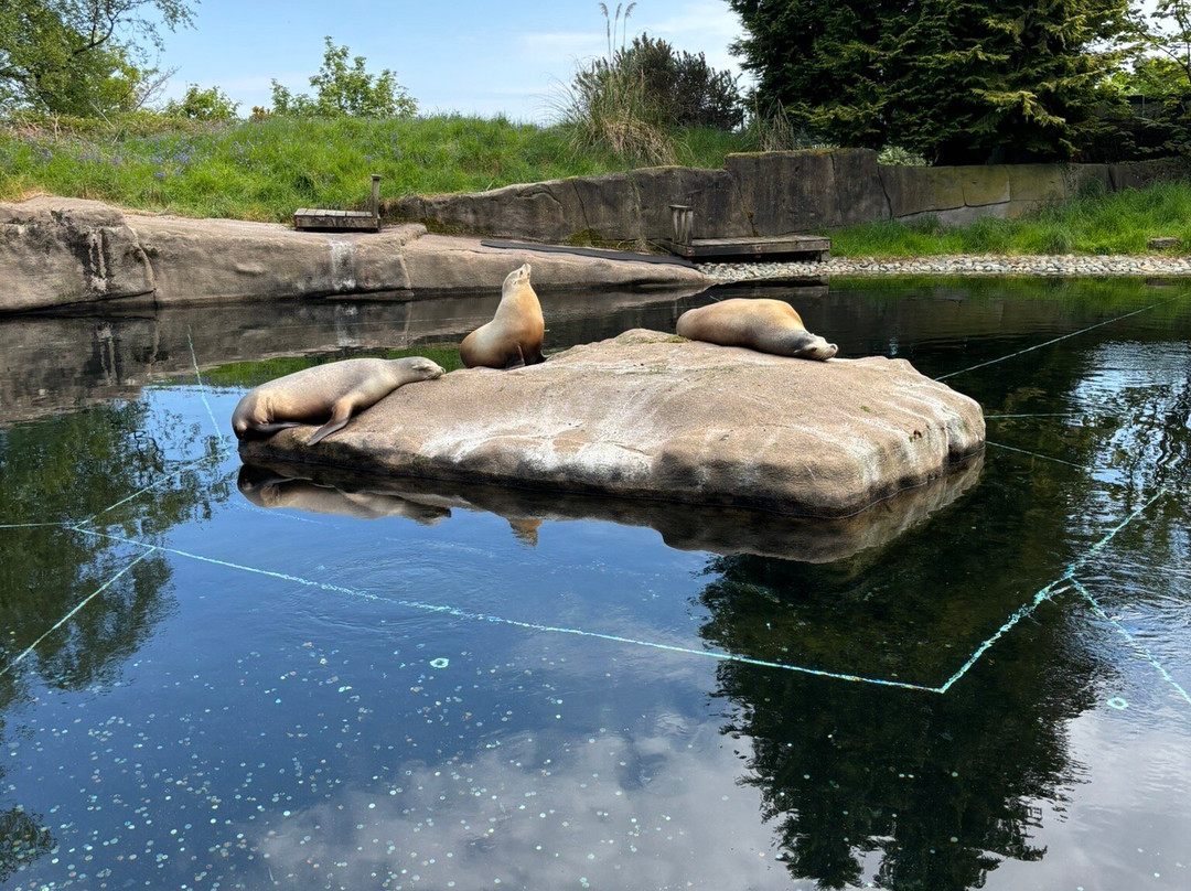 Belfast Zoo-Newtownabbey必去景点