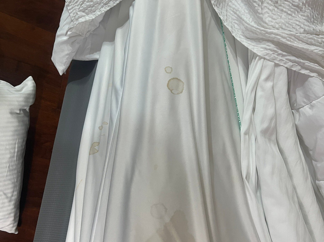 La Quinta Inn & Suites by Wyndham Temecula主图