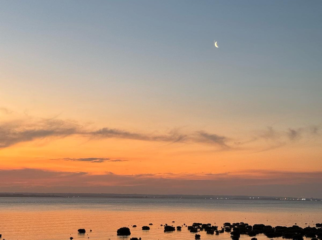 French Island Eco Inn主图