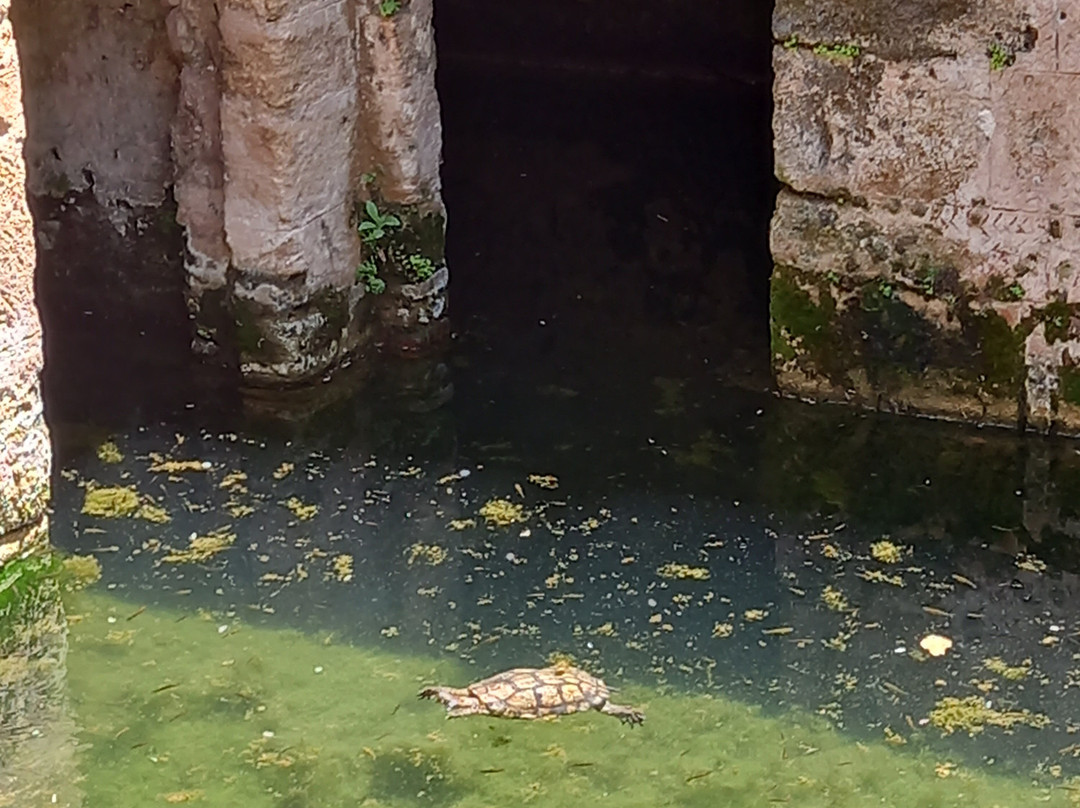 Atlas Mountain Trekking-马拉喀什必去景点