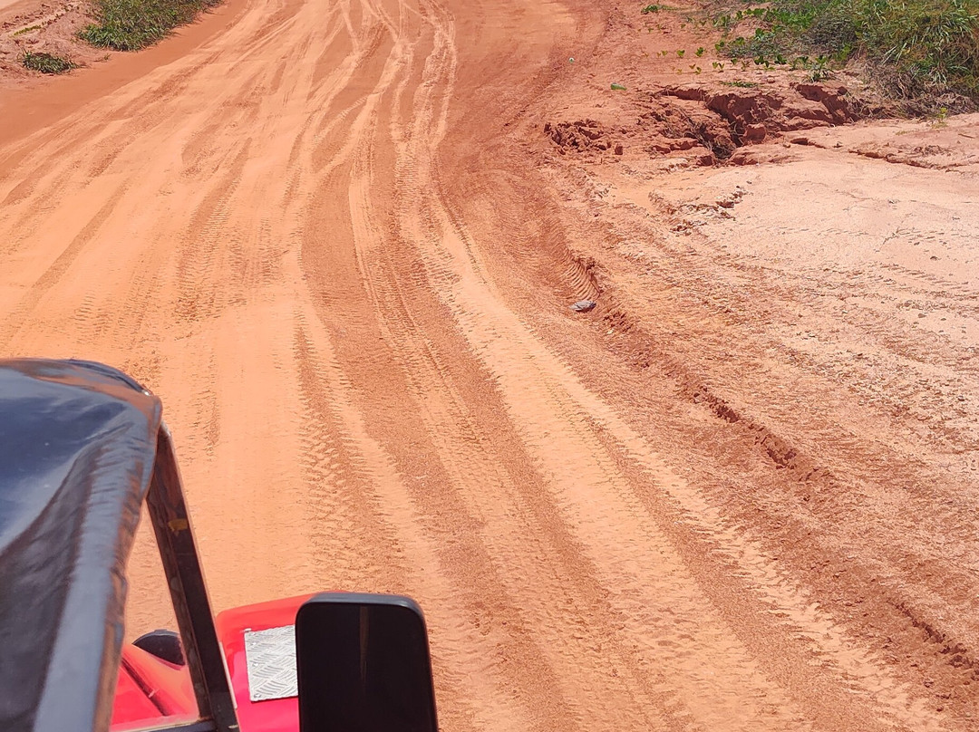 Falésias do Gunga-Roteiro必去景点