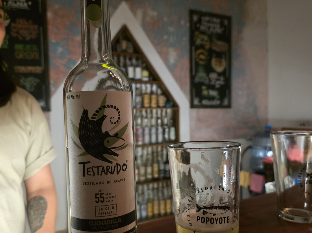 Popoyote-图斯特拉古铁雷斯必去景点