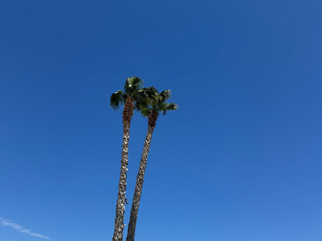 Lindos Aqua Terra主图