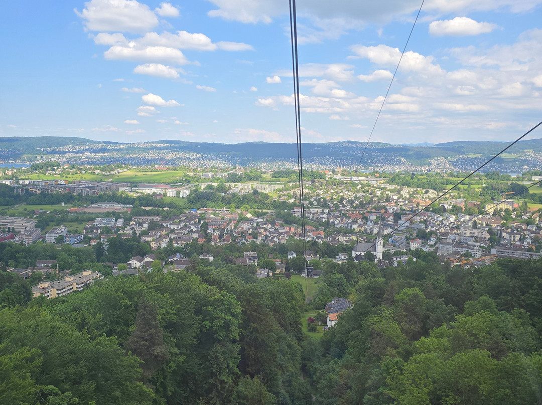 Luftseilbahn Adliswil-Felsenegg LAF-阿德利斯维尔必去景点