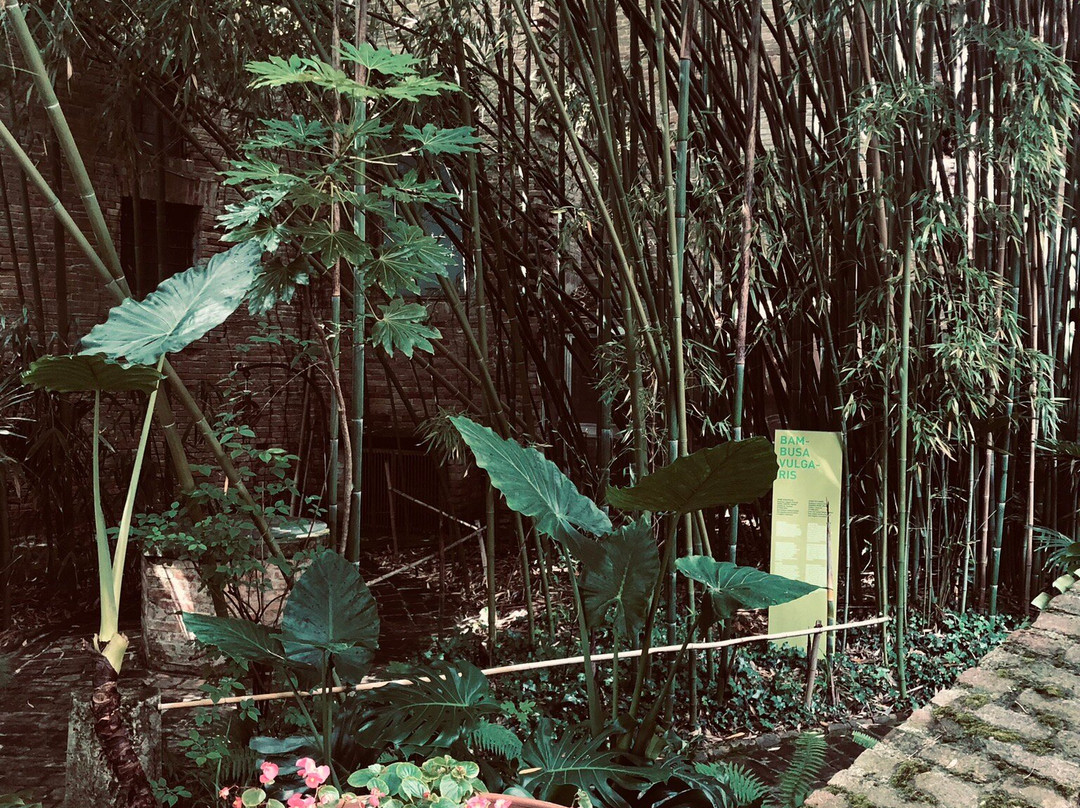 Orto Botanico Dell'Università di Urbino Carlo Bo-乌尔比诺必去景点