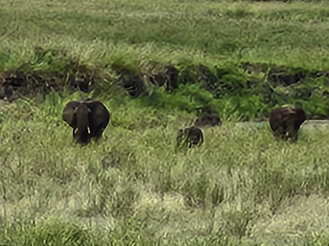 Termite Tour Travel-阿鲁沙必去景点