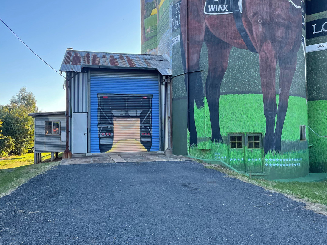Silo Art Dunedoo-Dunedoo必去景点
