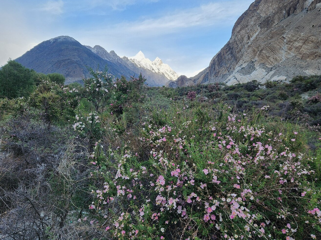 Sarai Silk Route主图