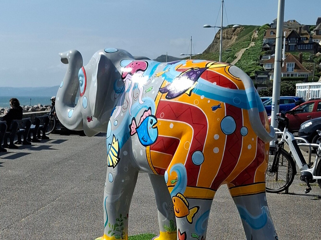West Bay Beach-West Bay必去景点