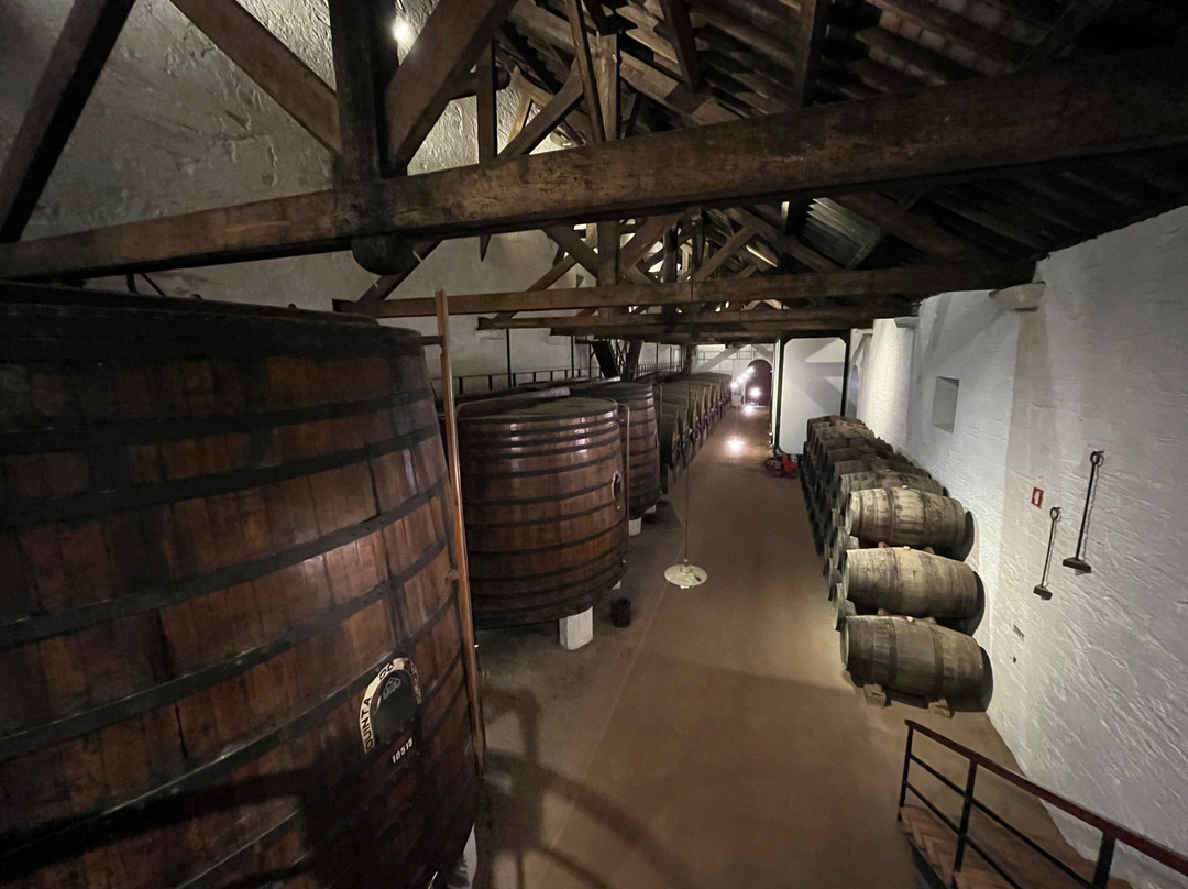 Quinta do Bomfim景点图片