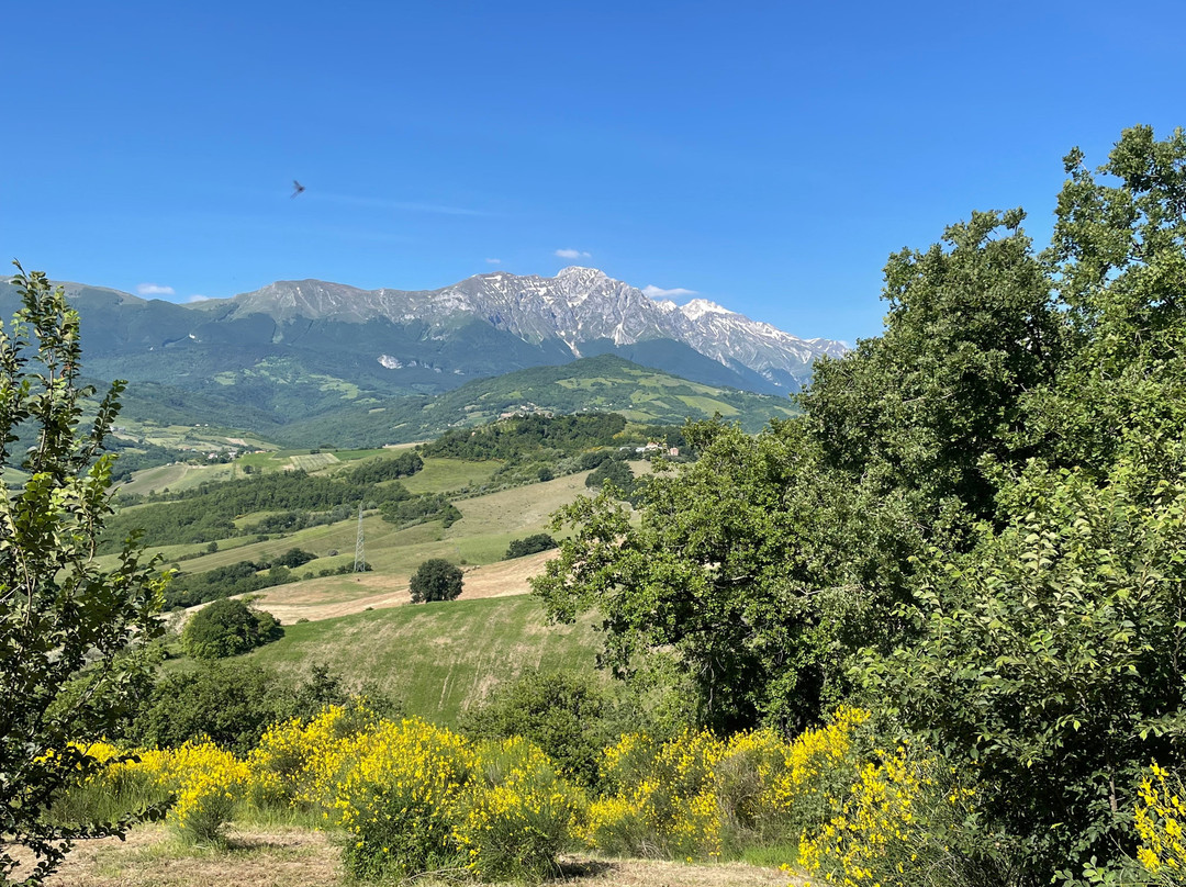 Agriturismo Borgo Del Ginepro
