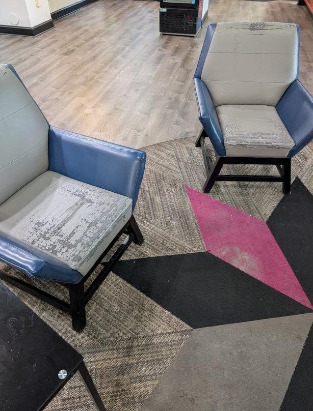 Wingate by Wyndham Chesapeake主图