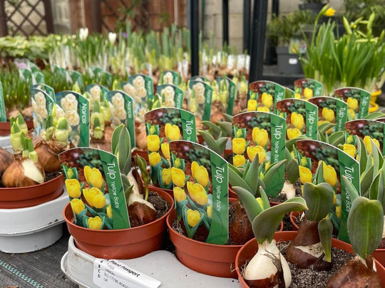 High Trees Garden Centre-East Carlton必去景点