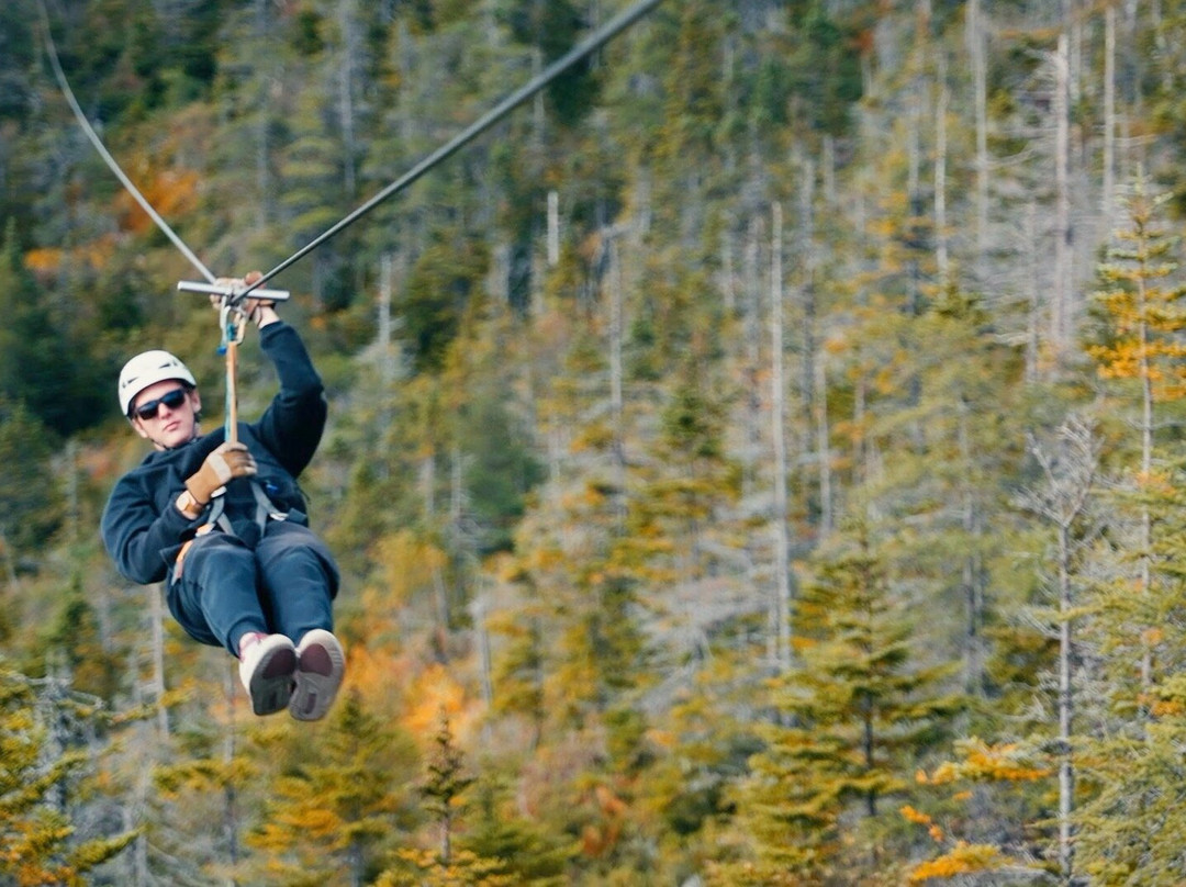 North Atlantic Ziplines-圣约翰必去景点