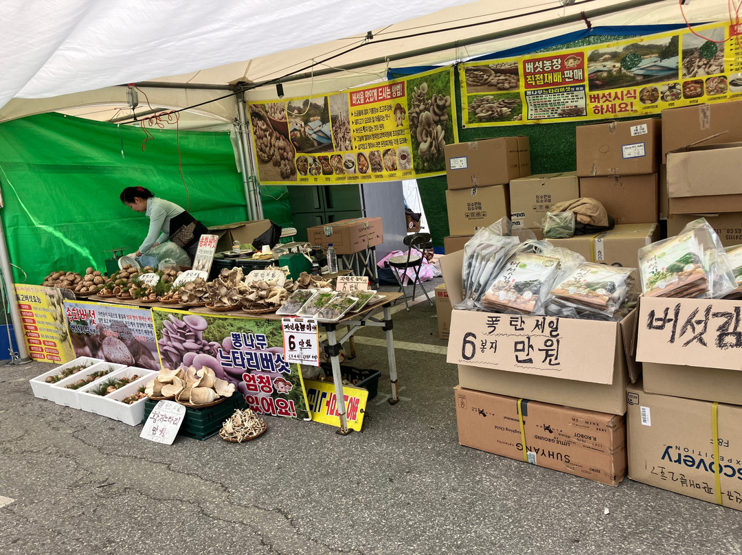 Gangneung Dano Festival-江陵市必去景点
