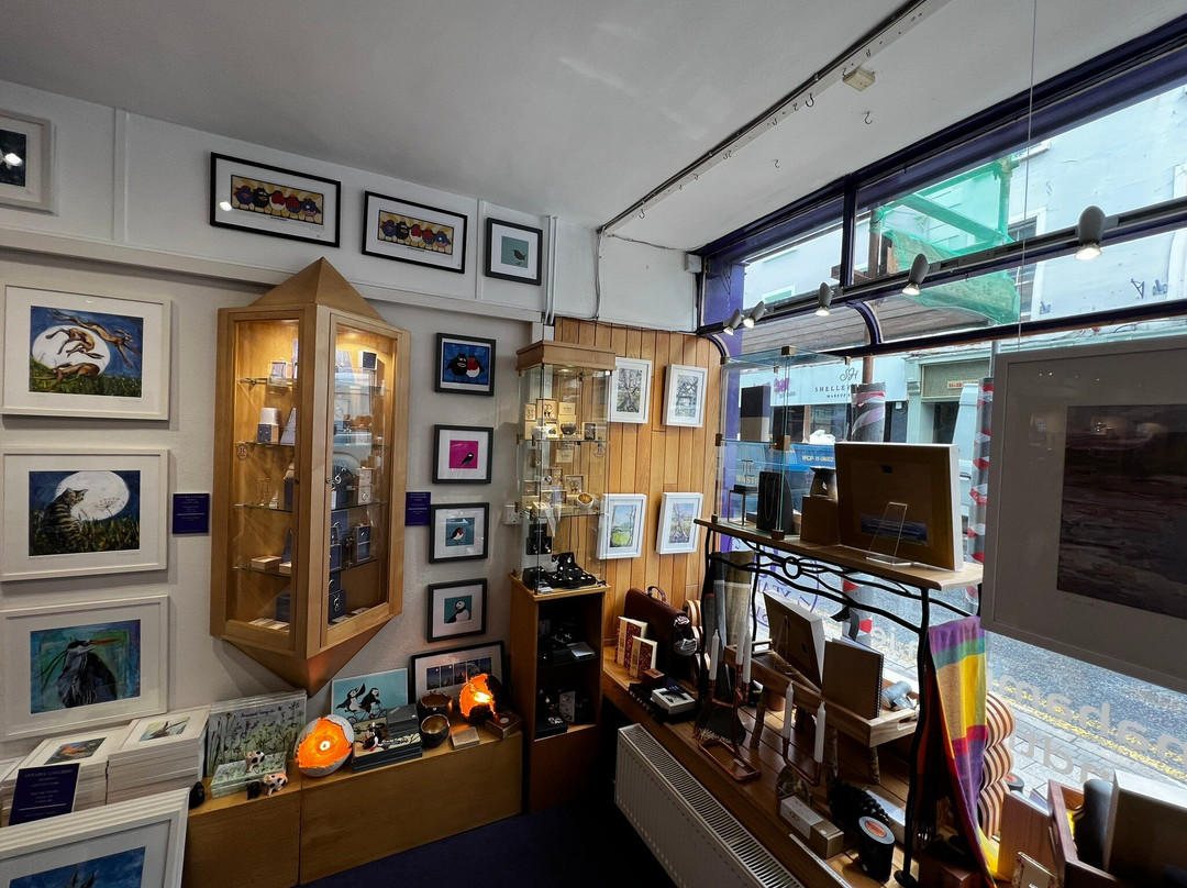 The Cat and Moon-斯莱戈必去景点