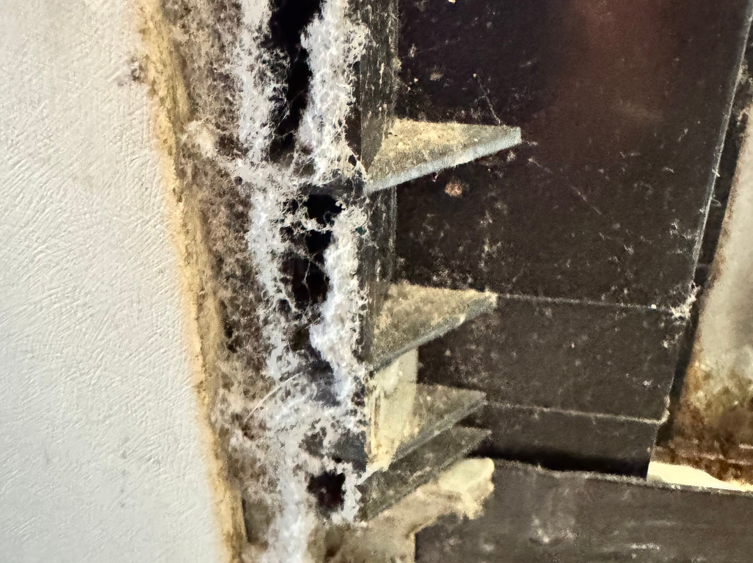 Comfort Inn Pensacola - University Area主图