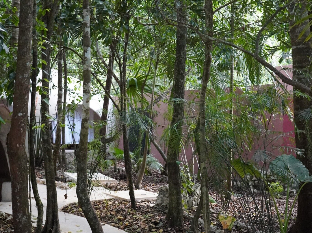 Los Colibries Mayan Jungle Spa-从莫雷洛斯港必去景点