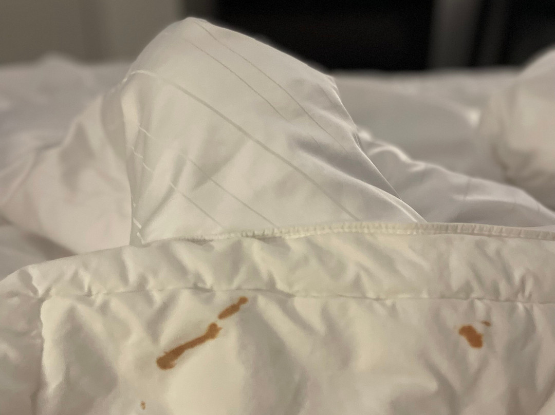 Comfort Suites Seabrook - Kemah主图